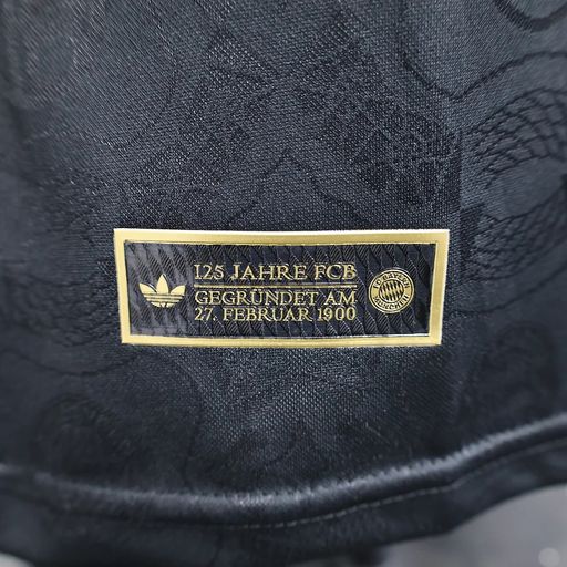 Bayern München 2025-2026 125th Anniversary player black