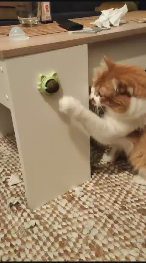 Bola de Catnip Adhesiva Giratoria para Gatos (Juguete de lamido y juego)